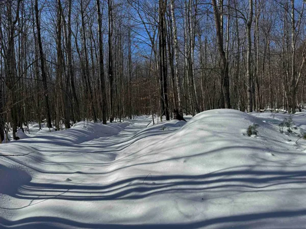 $232,500 | 0 White Mountain Highway, Sanbornville, NH 03872