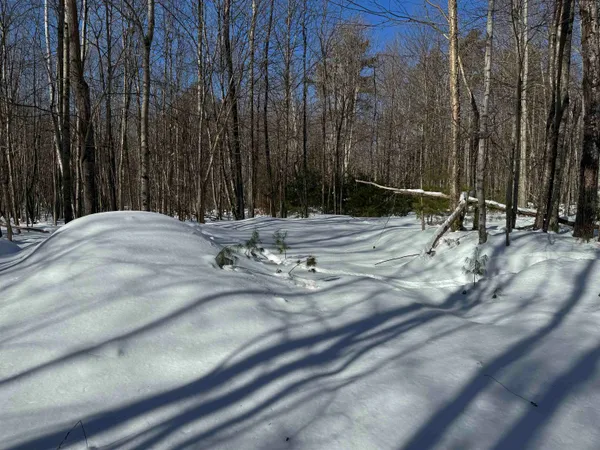 $232,500 | 0 White Mountain Highway, Sanbornville, NH 03872