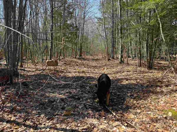 $232,500 | 0 White Mountain Highway, Sanbornville, NH 03872