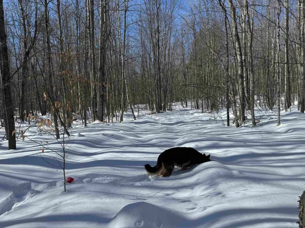 $232,500 | 0 White Mountain Highway, Sanbornville, NH 03872