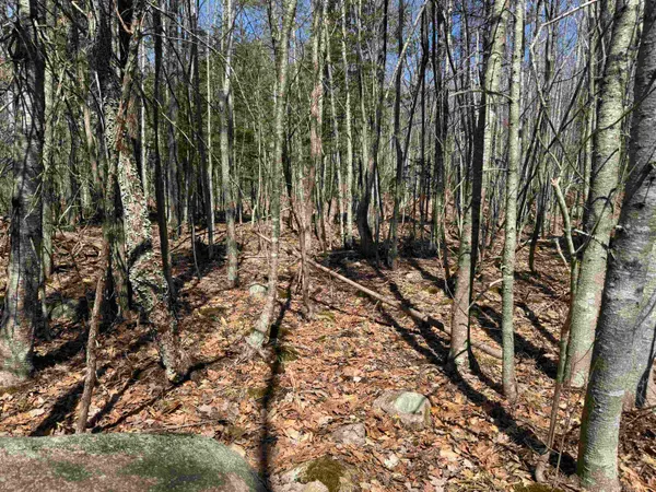 $232,500 | 0 White Mountain Highway, Sanbornville, NH 03872