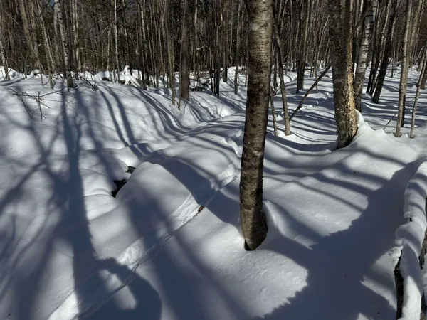 $232,500 | 0 White Mountain Highway, Sanbornville, NH 03872