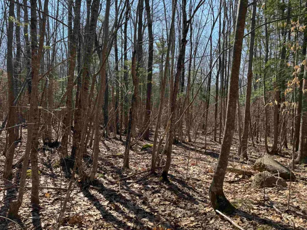 $232,500 | 0 White Mountain Highway, Sanbornville, NH 03872