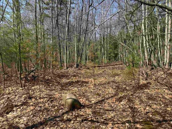 $232,500 | 0 White Mountain Highway, Sanbornville, NH 03872