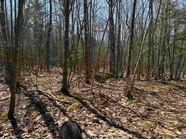 $232,500 | 0 White Mountain Highway, Sanbornville, NH 03872