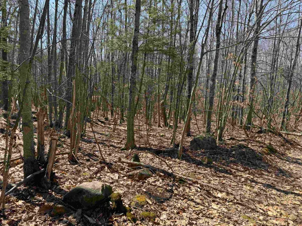 $232,500 | 0 White Mountain Highway, Sanbornville, NH 03872