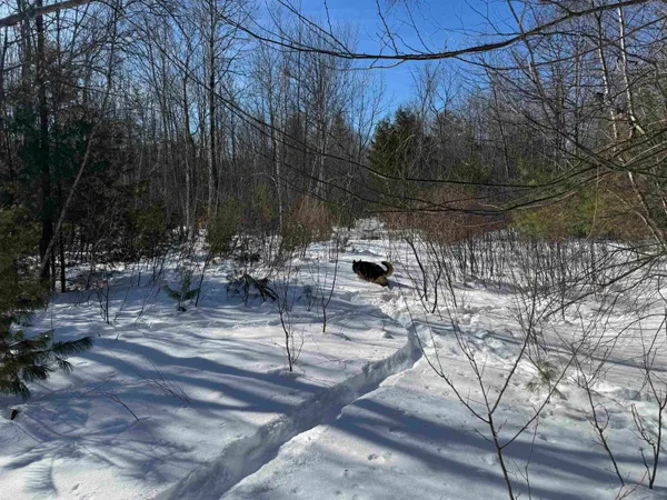$232,500 | 0 White Mountain Highway, Sanbornville, NH 03872