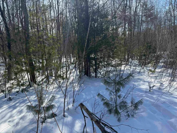 $232,500 | 0 White Mountain Highway, Sanbornville, NH 03872