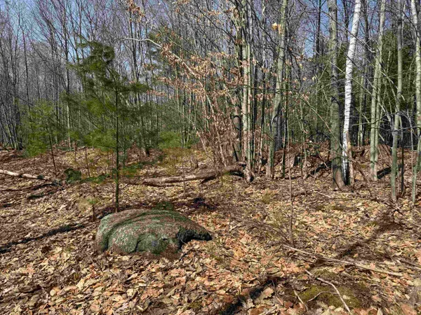 $232,500 | 0 White Mountain Highway, Sanbornville, NH 03872