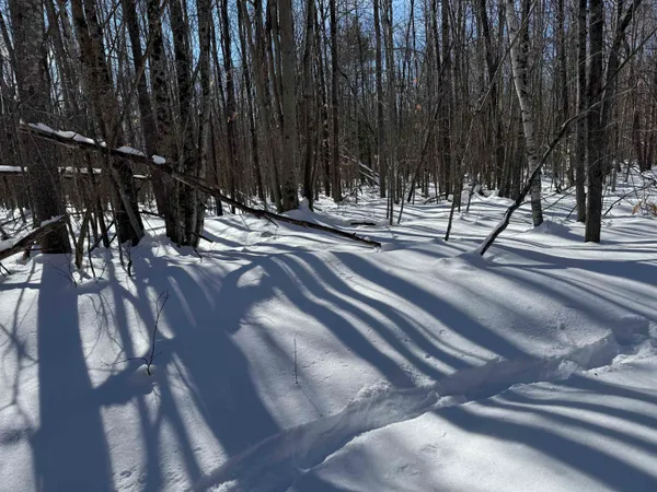 $232,500 | 0 White Mountain Highway, Sanbornville, NH 03872