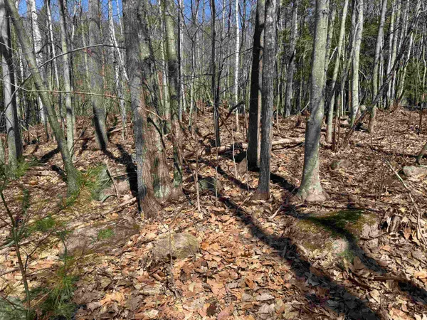 $232,500 | 0 White Mountain Highway, Sanbornville, NH 03872