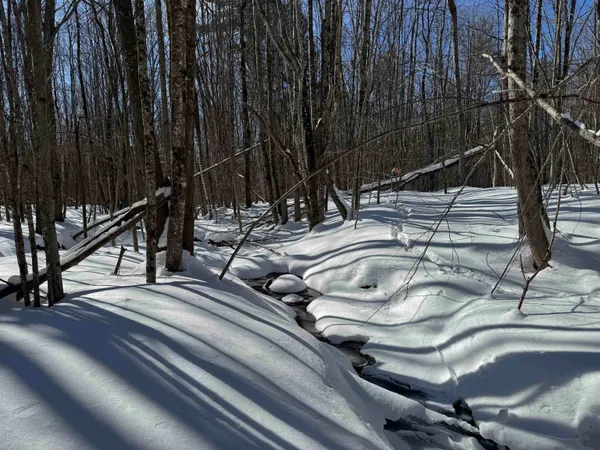 $232,500 | 0 White Mountain Highway, Sanbornville, NH 03872