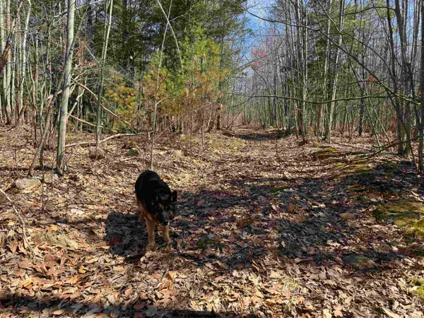 $232,500 | 0 White Mountain Highway, Sanbornville, NH 03872