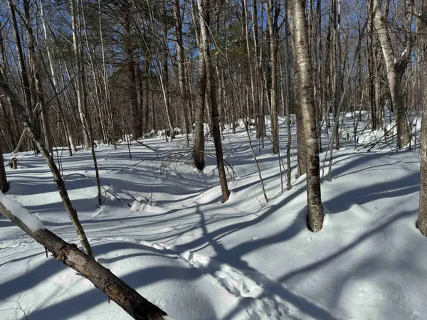 $232,500 | 0 White Mountain Highway, Sanbornville, NH 03872