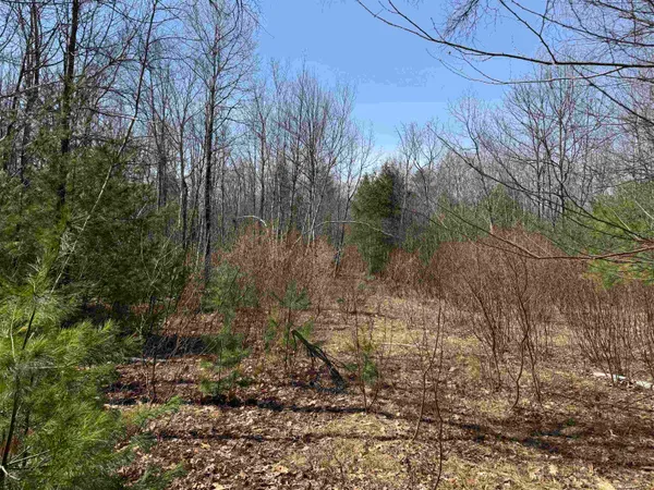 $232,500 | 0 White Mountain Highway, Sanbornville, NH 03872
