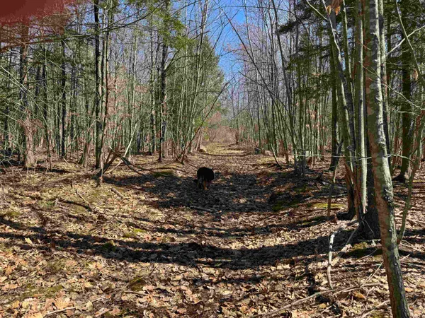 $232,500 | 0 White Mountain Highway, Sanbornville, NH 03872