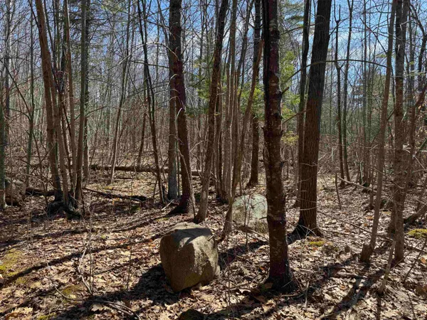 $232,500 | 0 White Mountain Highway, Sanbornville, NH 03872