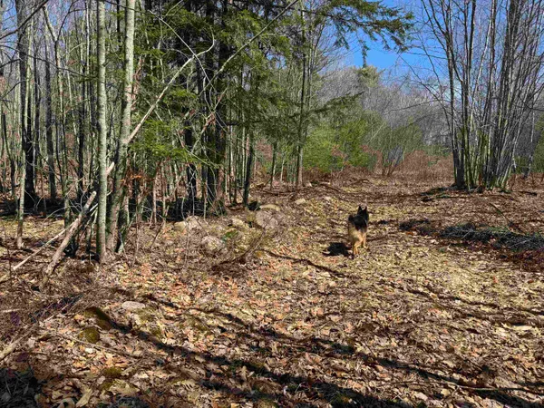 $232,500 | 0 White Mountain Highway, Sanbornville, NH 03872