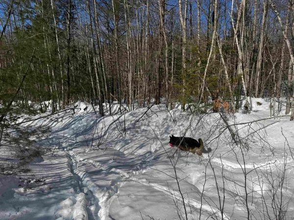$232,500 | 0 White Mountain Highway, Sanbornville, NH 03872