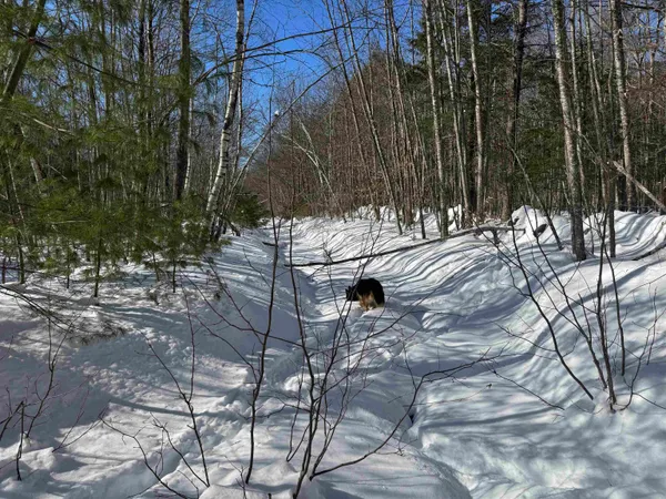 $232,500 | 0 White Mountain Highway, Sanbornville, NH 03872