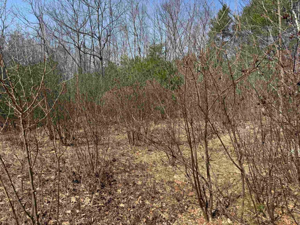 $232,500 | 0 White Mountain Highway, Sanbornville, NH 03872
