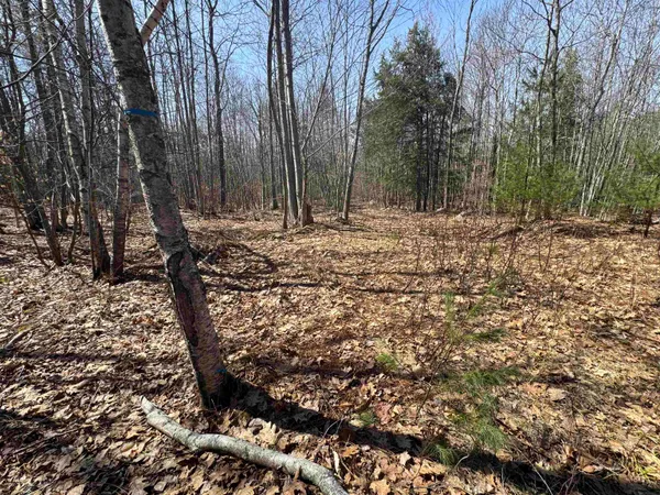 $232,500 | 0 White Mountain Highway, Sanbornville, NH 03872