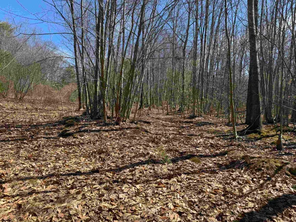 $232,500 | 0 White Mountain Highway, Sanbornville, NH 03872