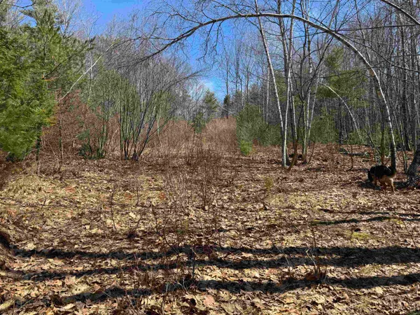 $232,500 | 0 White Mountain Highway, Sanbornville, NH 03872