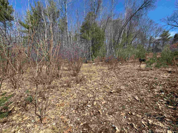 $232,500 | 0 White Mountain Highway, Sanbornville, NH 03872
