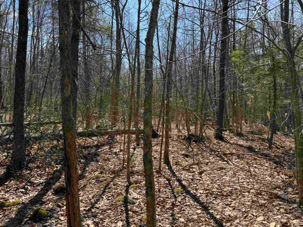 $232,500 | 0 White Mountain Highway, Sanbornville, NH 03872