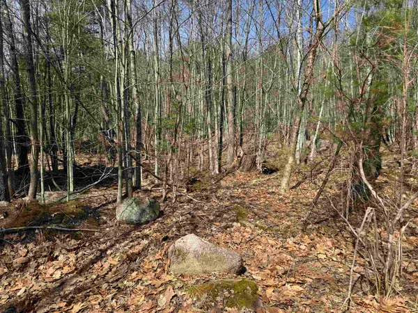 $232,500 | 0 White Mountain Highway, Sanbornville, NH 03872