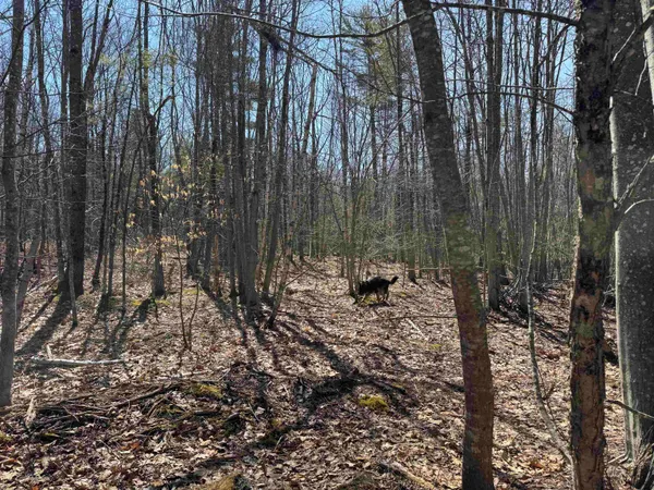 $232,500 | 0 White Mountain Highway, Sanbornville, NH 03872