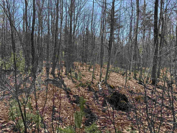 $232,500 | 0 White Mountain Highway, Sanbornville, NH 03872