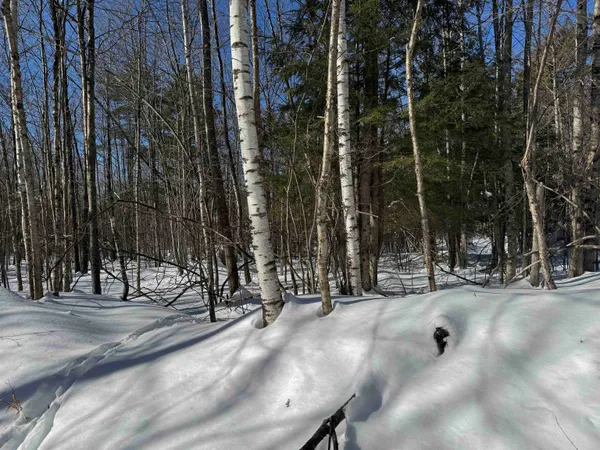 $232,500 | 0 White Mountain Highway, Sanbornville, NH 03872