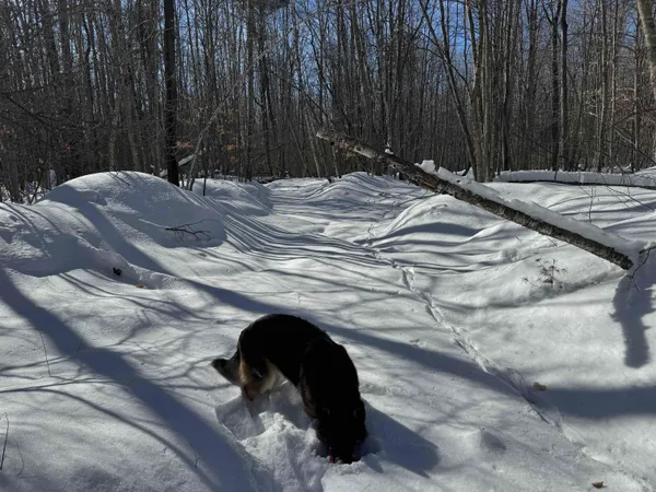 $232,500 | 0 White Mountain Highway, Sanbornville, NH 03872
