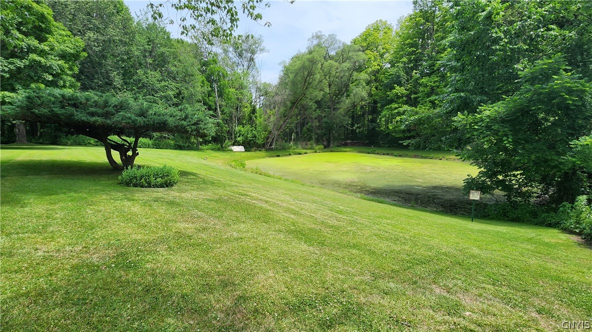 8252 Maple Road Clay, NY 13041 - Photo 6 of 49