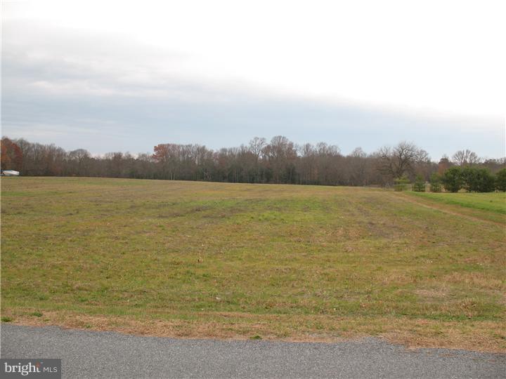 0 Earnest Garton Road Bridgeton, NJ 08302 - Photo 4 of 5 View 2