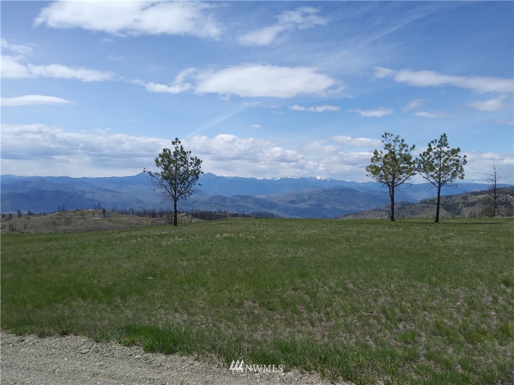 19 Lone Spur Road Oroville, WA 98844 - Photo 19 of 20 Gallery Image 19