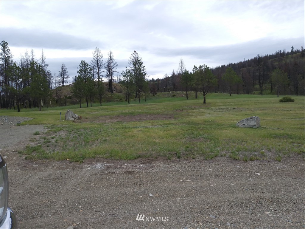19 Lone Spur Road Oroville, WA 98844 - Photo 4 of 20 Gallery Image 4