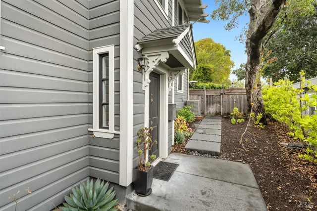 a view of door with potted plant in front of door