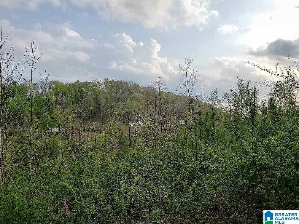 889 Hunter Road Ohatchee, AL 36271 - Photo 38 of 44