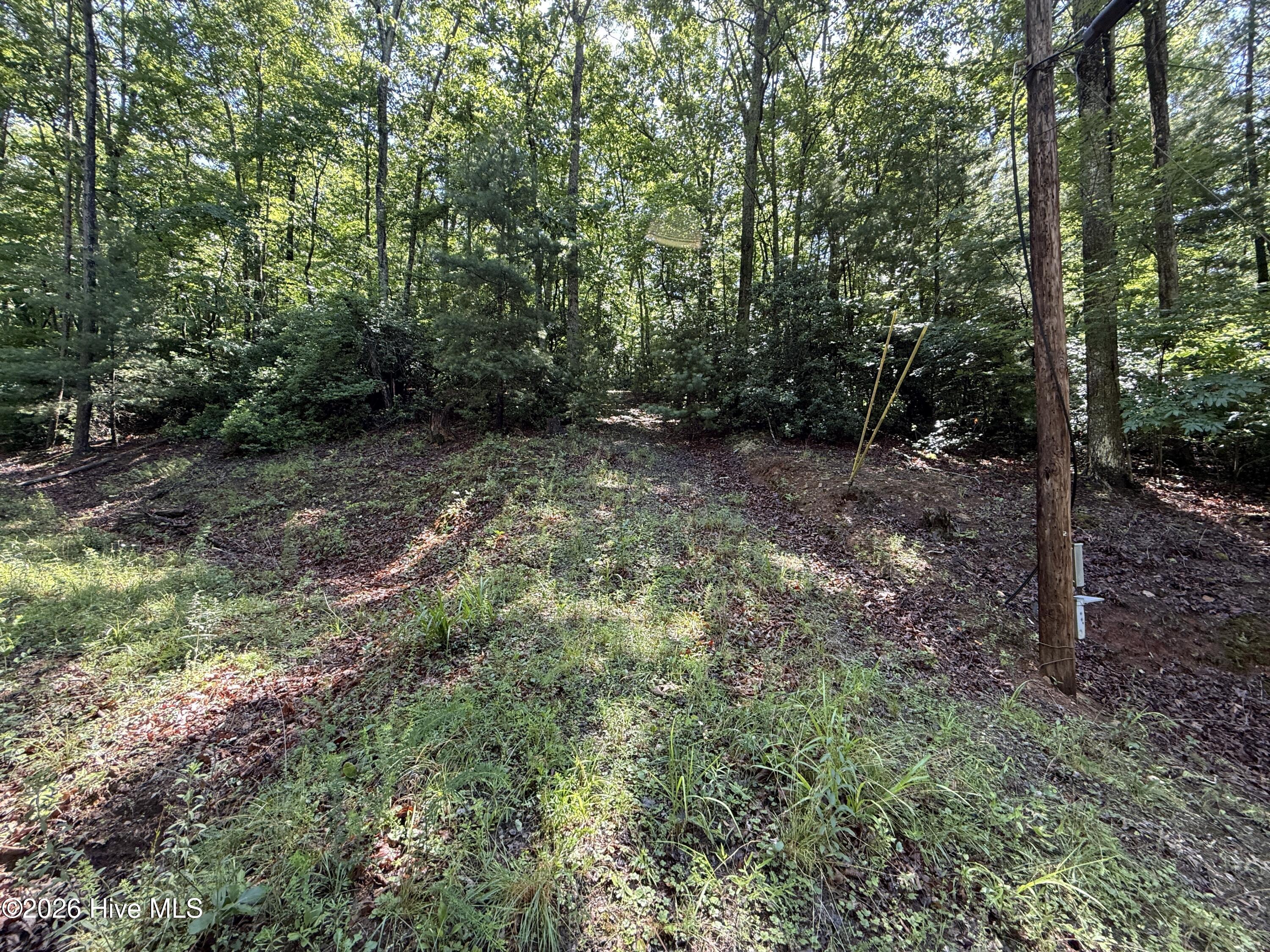 81 Roberts Road Murphy, NC 28906 - Photo 1 of 9