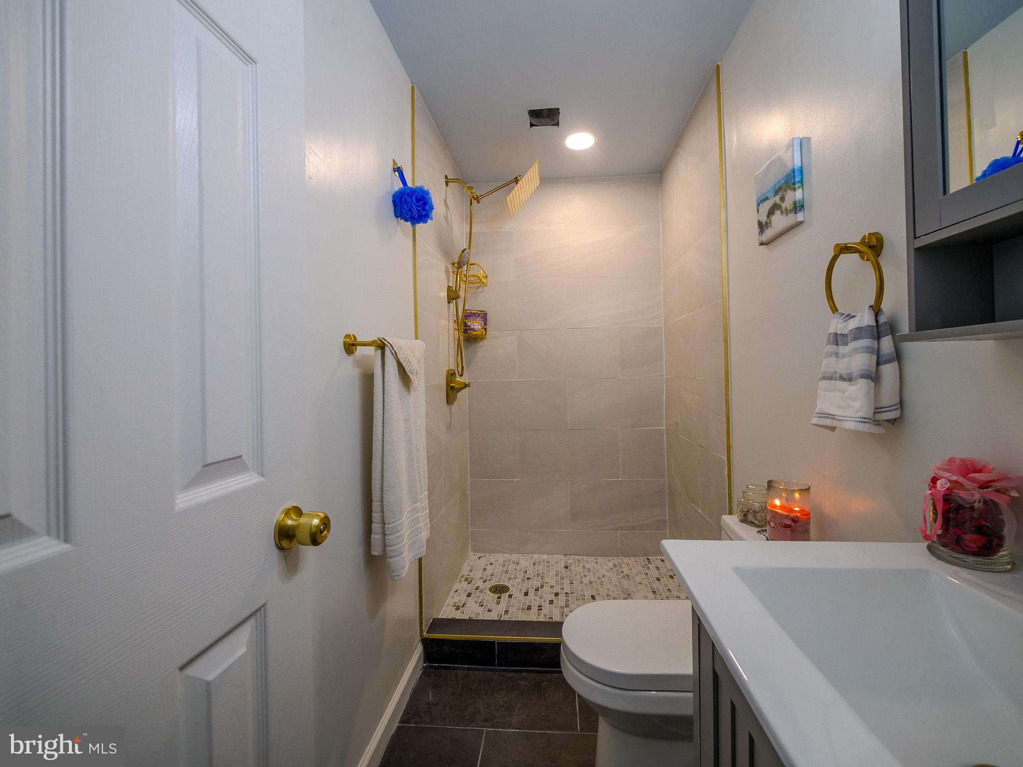 179 Madison Drive Newark, DE 19711 - Photo 23 of 43 a bathroom with a sink a toilet and shower