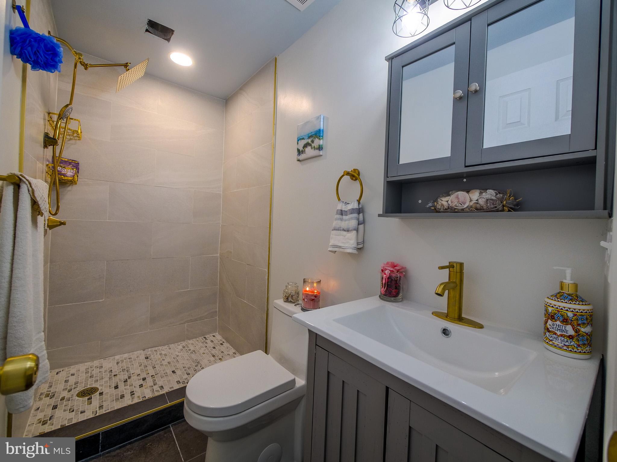 179 Madison Drive Newark, DE 19711 - Photo 24 of 43 a bathroom with a sink a toilet and shower