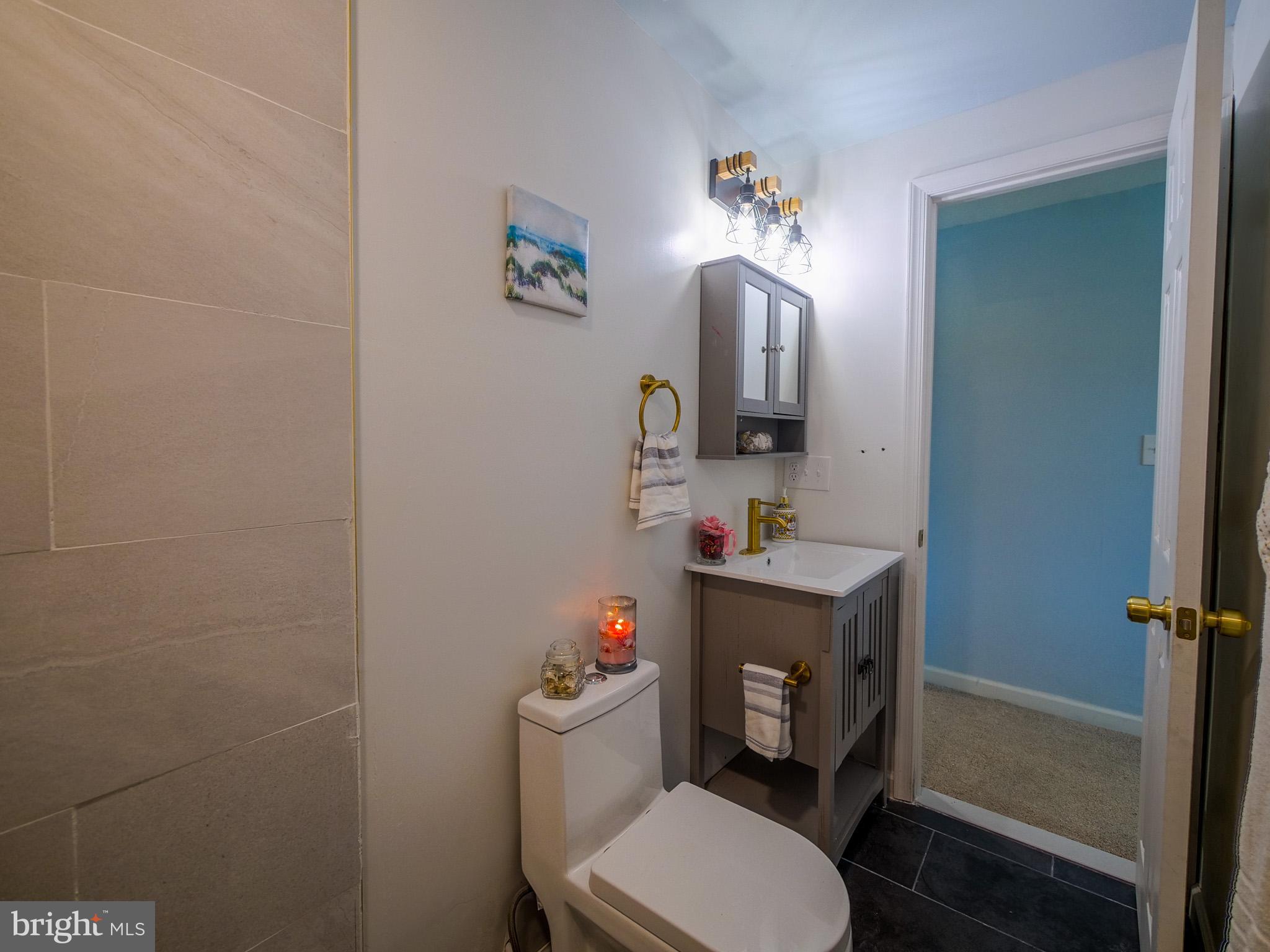 179 Madison Drive Newark, DE 19711 - Photo 26 of 43 a bathroom with a toilet a sink and mirror