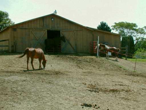 Stable/Barn. 