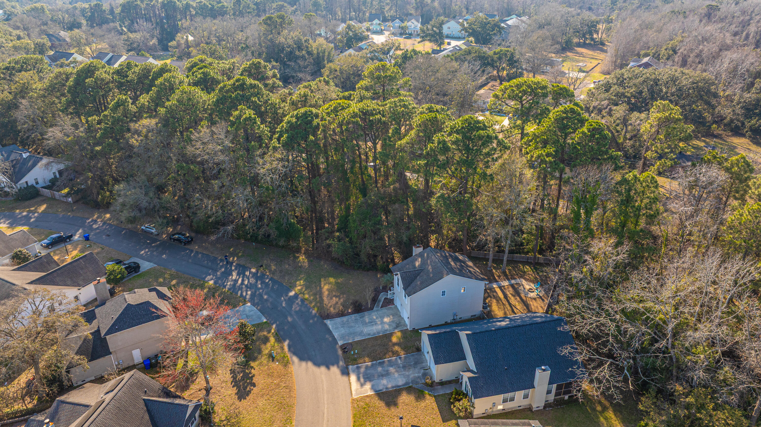 1253 Lakefront Drive Charleston, SC 29412 - Photo 34 of 47 1253LakefrontDr082
