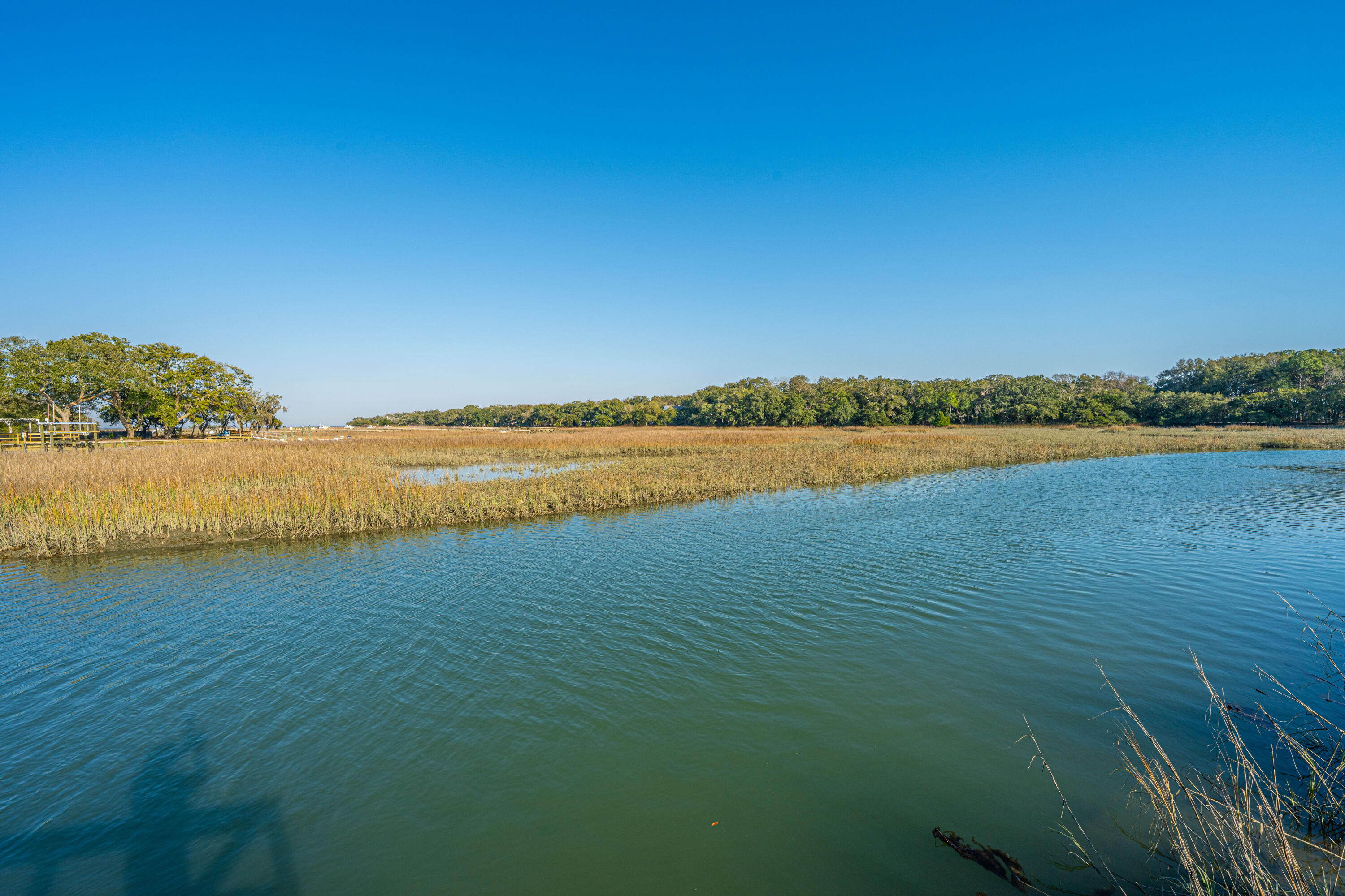1253 Lakefront Drive Charleston, SC 29412 - Photo 40 of 47 SeasidePlantation010