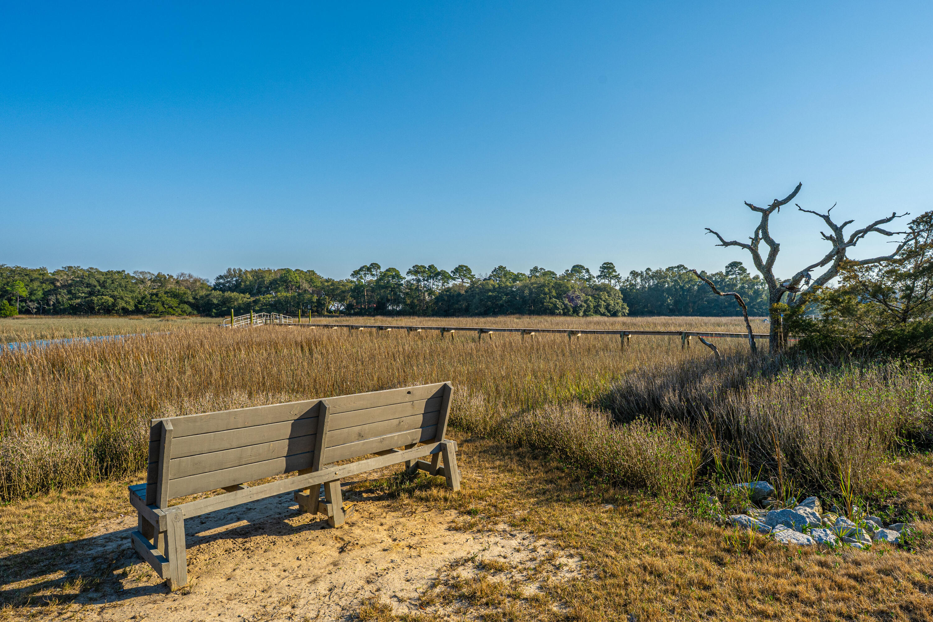 1253 Lakefront Drive Charleston, SC 29412 - Photo 42 of 47 SeasidePlantation013