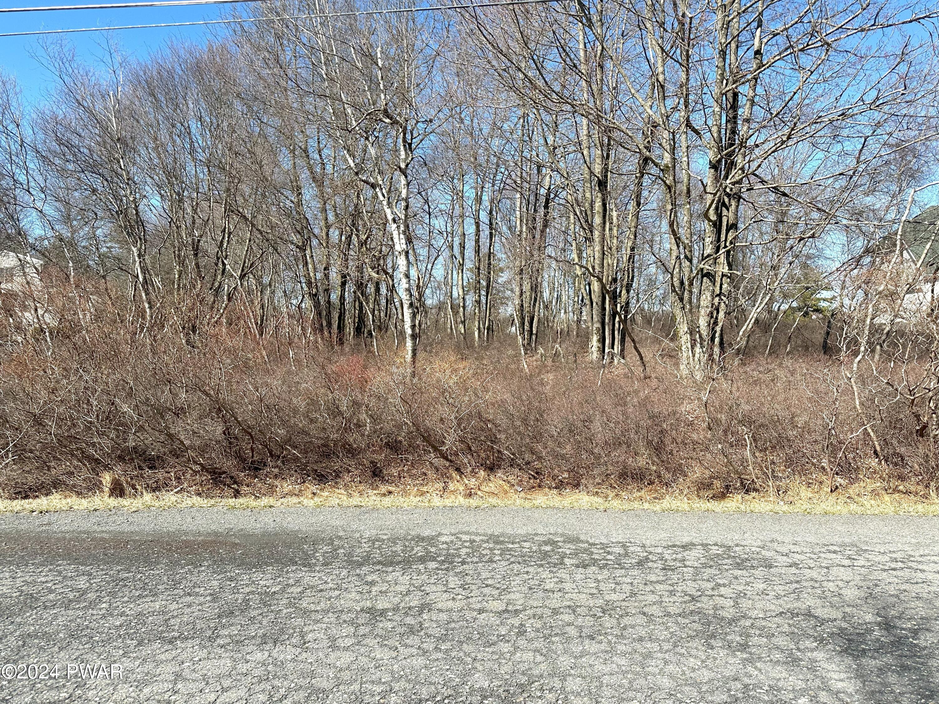 Beaver Dam Road Long Pond, PA 18334 - Photo 5 of 13